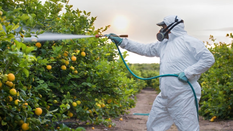 What Is the Difference Between Natural and Chemical Pest Control